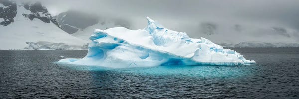 Antarctica: Floating Iceberg In Antarctica, Antarctic Peninsula by Jan Becke
