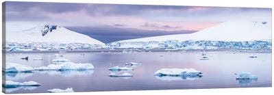 Antarctic Landscape With Ice Covered Mountains At Dawn, Antarctic Peninsula, Antarctica Canvas Art Print - Jan Becke