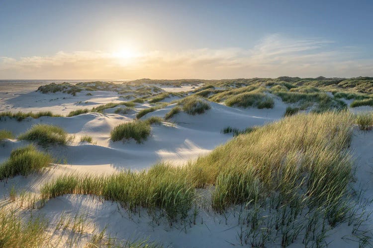 Dune Beach In Warm Sunlight At Sunset