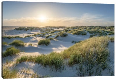 Dune Beach In Warm Sunlight At Sunset Canvas Art Print - Jan Becke