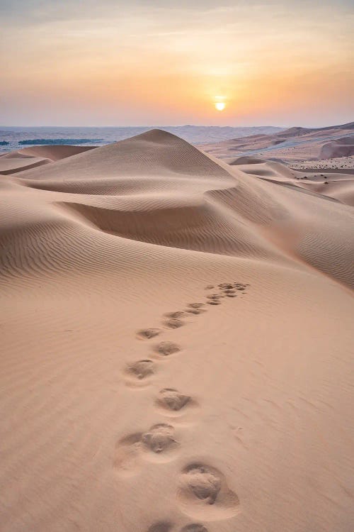 Sunset In The Rub Al Khali Desert, Empty Quarter, Abu Dhabi, United Arab Emirates