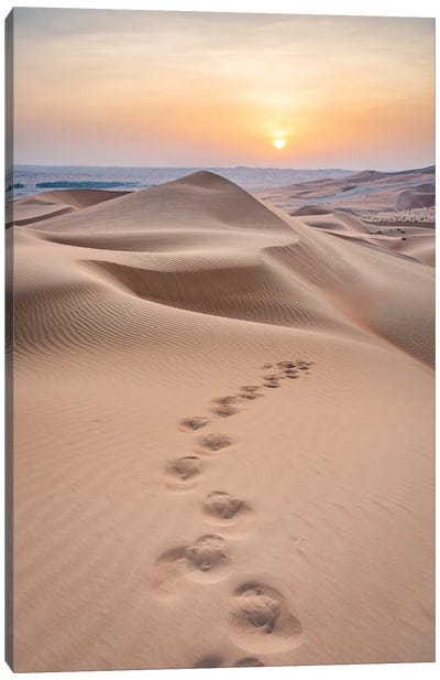 Sunset In The Rub Al Khali Desert, Empty Quarter, Abu Dhabi, United Arab Emirates Canvas Art Print - Jan Becke