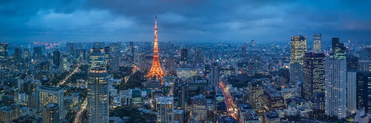 Tokyo Skyline Panorama At Night With Tokyo Tower, Japan