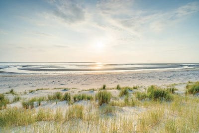 Soft Sunset Light At The Dune Beach by Jan Becke metal wall art