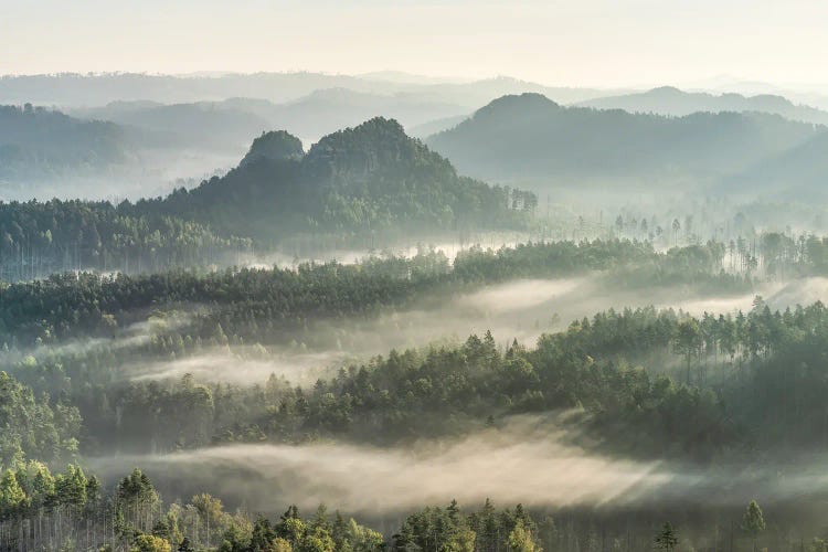 Early Morning Fog Over The Elbe Sandstone Mountains, Sächsische Schweiz (Saxon Switzerland), Saxony, Germany