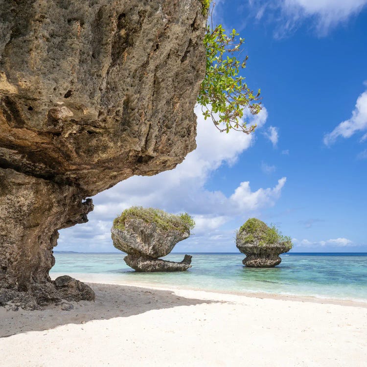 Mushroom Rocks At Hila'An Beach, Guam, US Territory by Jan Becke wall art