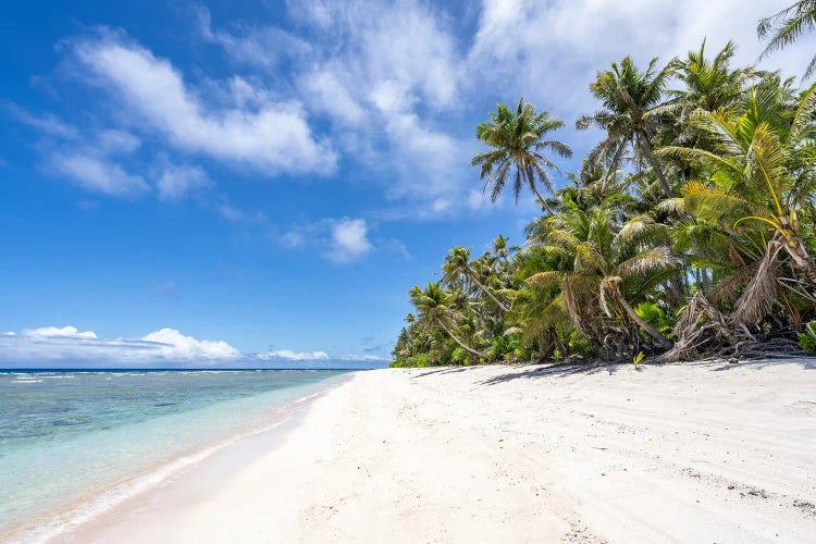 Tropical Beach On Guam, Us Territory by Jan Becke wall art