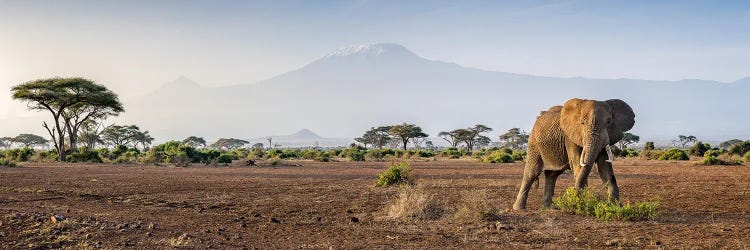 Mount Kilimanjaro, Amboseli National Park, Kenya, Africa