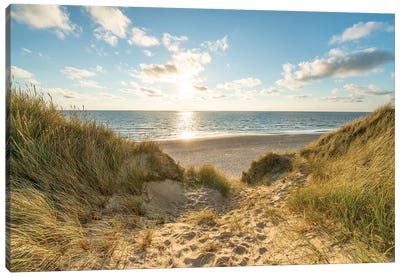 Dune Landscape At The North Sea Coast On Sylt Canvas Art Print - Sunrises & Sunsets Scenic Photography