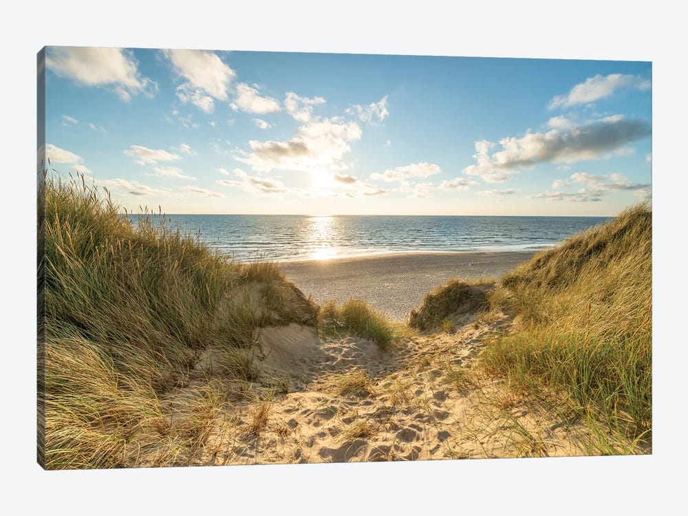 Dune Landscape At The North Sea Coast On Sylt by Jan Becke 1-piece Canvas Art Print