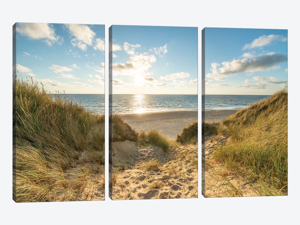 Dune Landscape At The North Sea Coast On Sylt by Jan Becke 3-piece Canvas Print