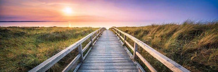 Dunes Panorama At Sunset