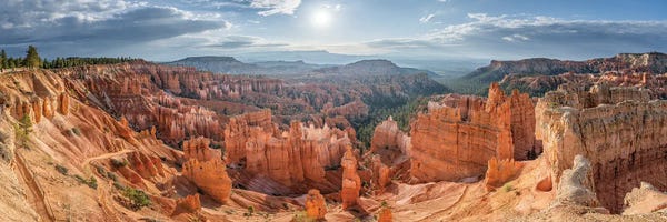 Utah: Bryce Canyon National Park In Summer, Utah, USA by Jan Becke