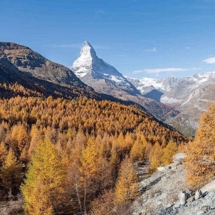 Golden Larch Trees With Matterhorn Mountain In Autumn, Swiss Alps, Zermatt, Switzerland