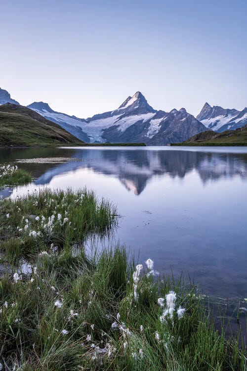 Bachalpsee Lake On A Summer Morning, Grindelwald, Swiss Alps, Switzerland