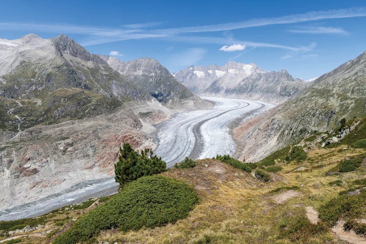 Aletsch Glacier (Aletschgletscher) In Summer, Bernese Alps, Switzerland