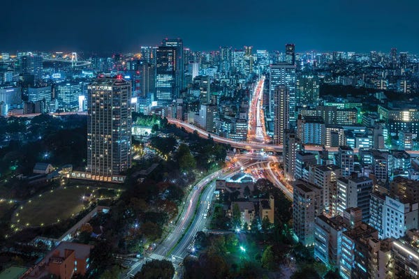 Tokyo: Tokyo At Night by Jan Becke