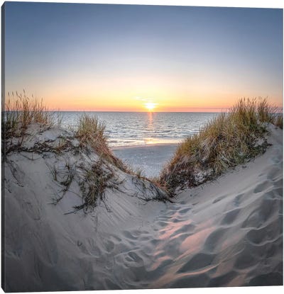 Dune Landscape At Sunset, North Sea Coast Canvas Art Print - Jan Becke
