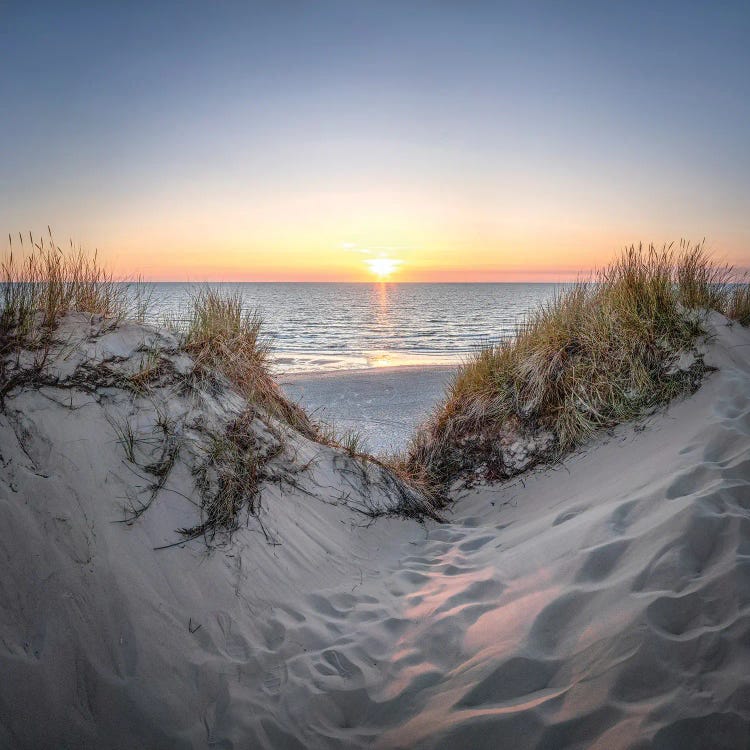 Dune Landscape At Sunset, North Sea Coast