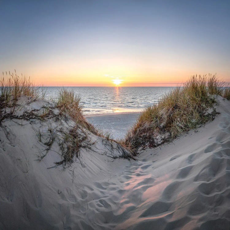 Dune Landscape At Sunset, North Sea Coast by Jan Becke wall art