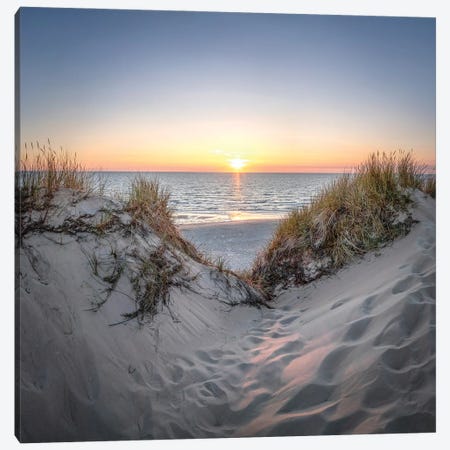 Dune Landscape At Sunset, North Sea Coast Canvas Print #JNB286} by Jan Becke Canvas Art