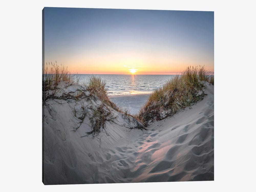 Dune Landscape At Sunset, North Sea Coast by Jan Becke 1-piece Canvas Wall Art