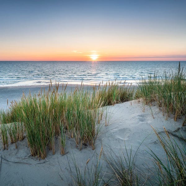 Warm Sunset On A Dune Beach With The Ocean In The Distance