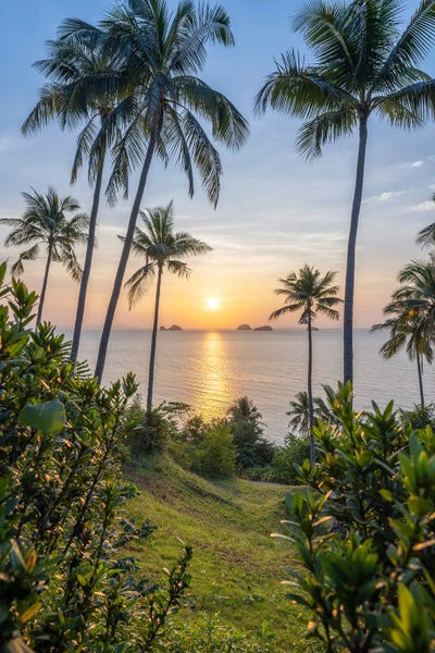 Palm Trees At Sunset, Koh Samui (Ko Samui), Thailand by Jan Becke multi panel art