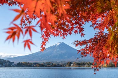 Red Maple Leaves At Lake Kawaguchi With Mount Fuji, Fujikawaguchiko, Yamanashi Prefecture, Japan by Jan Becke gallery poster