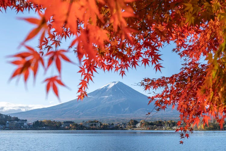 Red Maple Leaves At Lake Kawaguchi With Mount Fuji, Fujikawaguchiko, Yamanashi Prefecture, Japan by Jan Becke wall art