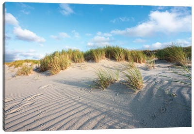 Sand Dunes Near The North Sea Coast Canvas Art Print - Sylt Art