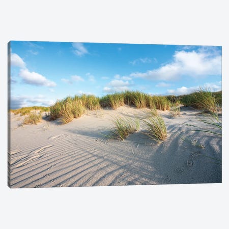 Sand Dunes Near The North Sea Coast Canvas Print #JNB289} by Jan Becke Canvas Print