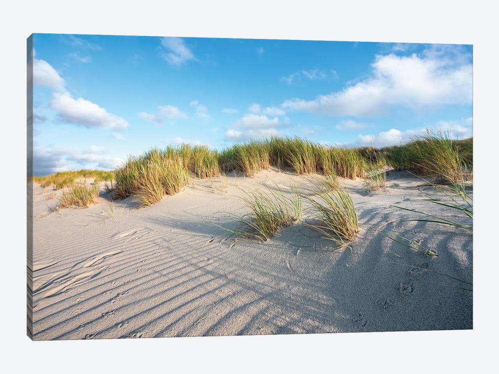 Sand Dunes Near The North Sea Coast by Jan Becke 1-piece Canvas Print