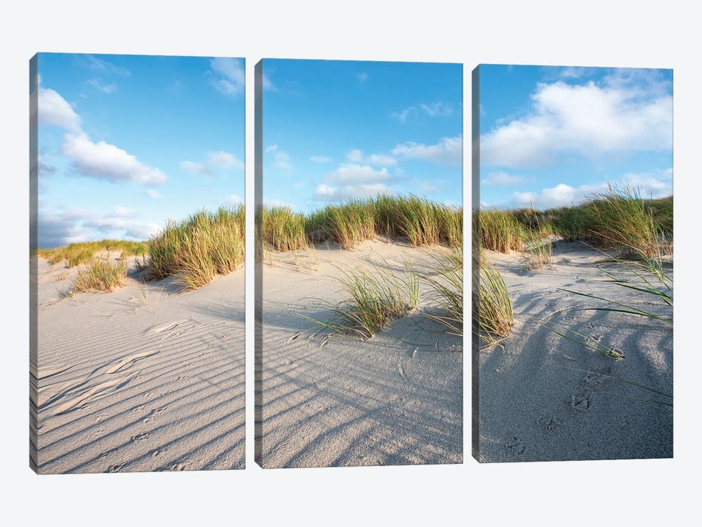 Sand Dunes Near The North Sea Coast by Jan Becke 3-piece Art Print