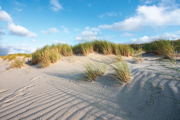 Sylt: Sand Dunes Near The North Sea Coast by Jan Becke