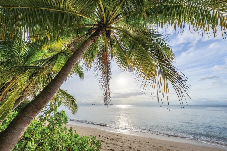 Sunset At The Beach, Koh Samui (Ko Samui), Thailand by Jan Becke wall art