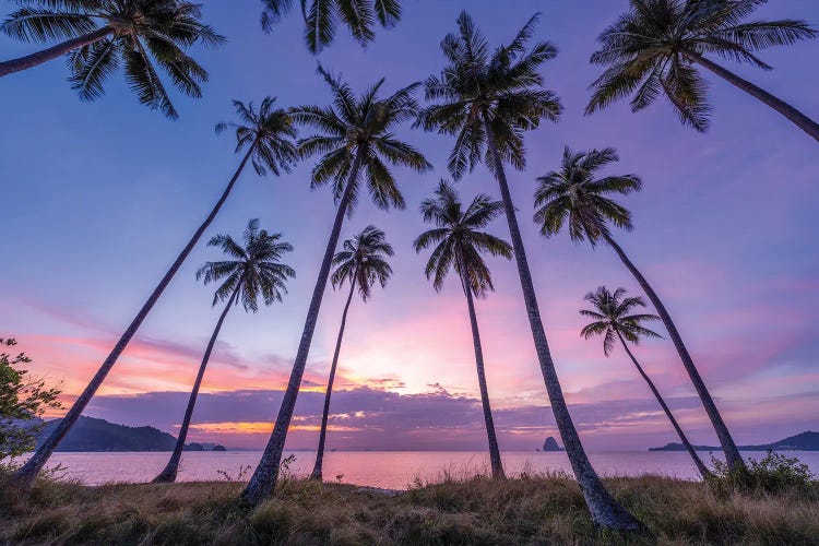 Sunrise On Koh Yao Yai (Ko Yao Yai), Thailand by Jan Becke wall art