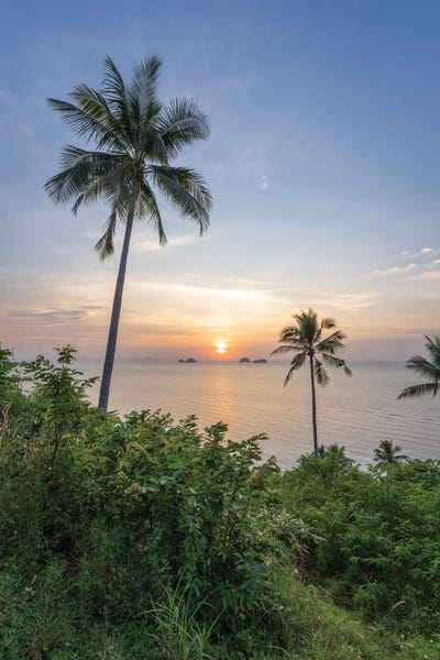 Sunset Under The Palm Trees, Koh Samui (Ko Samui) Island, Thailand by Jan Becke multi panel art