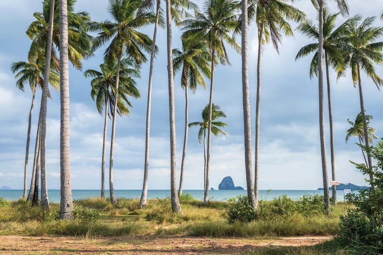 Beach On Koh Yao Yai (Ko Yao Yai), Thailand by Jan Becke wall art