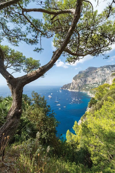 Capri Island In Summer, Campania, Gulf Of Naples, Italy