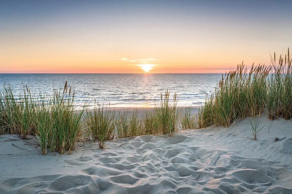 Browse art that iCanvas customers also bought: Beautiful Sunset At The Beach