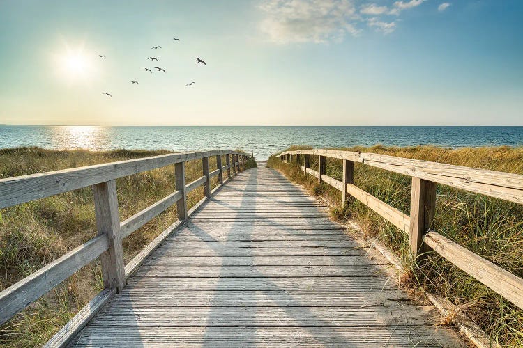 Summer Vacation At The North Sea Coast, Germany