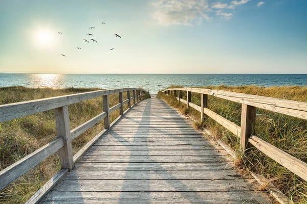 Germany: Summer Vacation At The North Sea Coast, Germany by Jan Becke