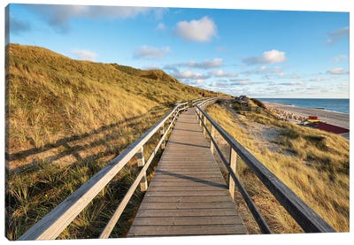 Wooden boardwalk along the North Sea coast, Island of Sylt, Germany Canvas Art Print - Sylt Art