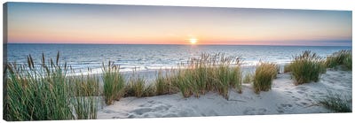 Dune beach panorama at sunset Canvas Art Print - Panoramic & Horizontal Wall Art