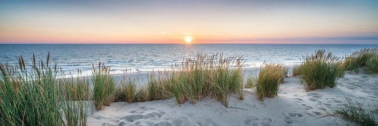 Dune beach panorama at sunset