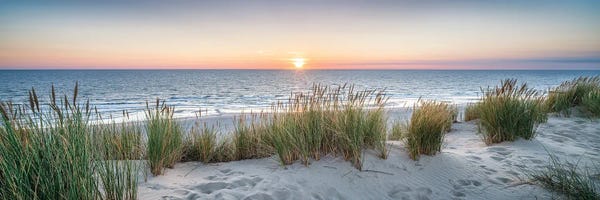 Browse art that iCanvas customers also bought: Dune beach panorama at sunset