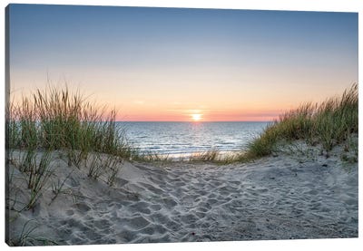 Dune beach at sunset Canvas Art Print - Jan Becke