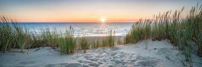 Beach Sunrises & Sunsets