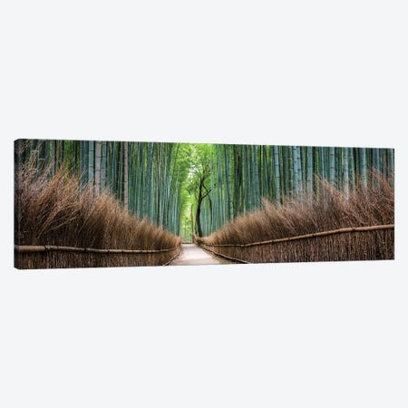 Arashiyama Bamboo Forest Canvas Print #JNB4} by Jan Becke Canvas Artwork